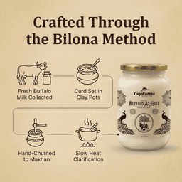 Buffalo Ghee (Pack of 2) 3