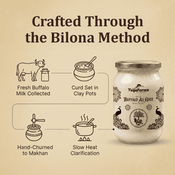 Buffalo Ghee 3